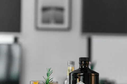 Gin mit Glas und Garnitur